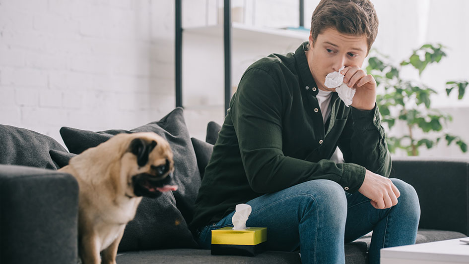 Purchasing an air purifier is one of the wisest ways to improve your house’s indoor air quality. Learn more about the three top products. 